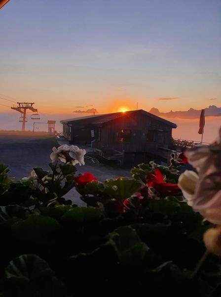 Buvette alpage Bochasses