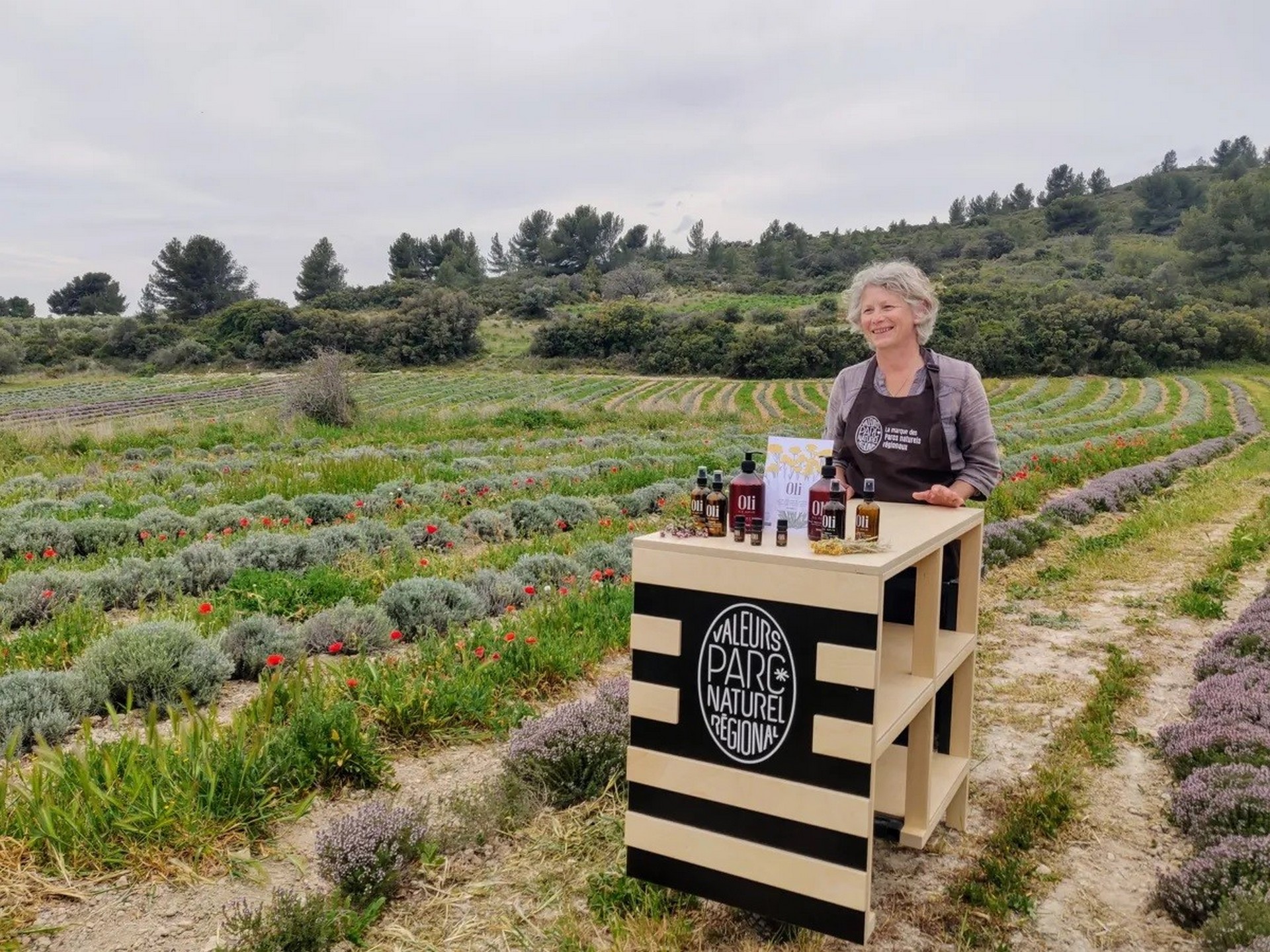 Oli dis Aupiho - photo 3