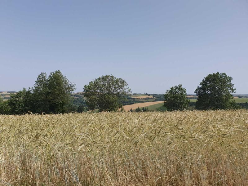 image00019