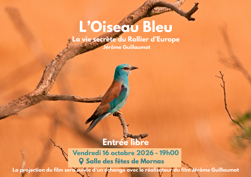 Projection du film L'Oiseau Bleu à Mornas>
