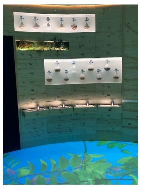 Espace musée Mx Marseille