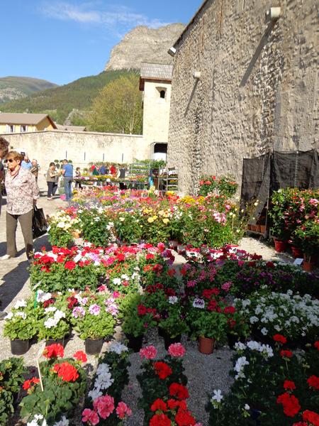 Fêtons le printemps Le 31 mai 2025