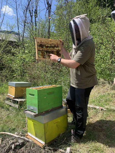 Entremonts et Abeilles - St Pierre d'Entremont