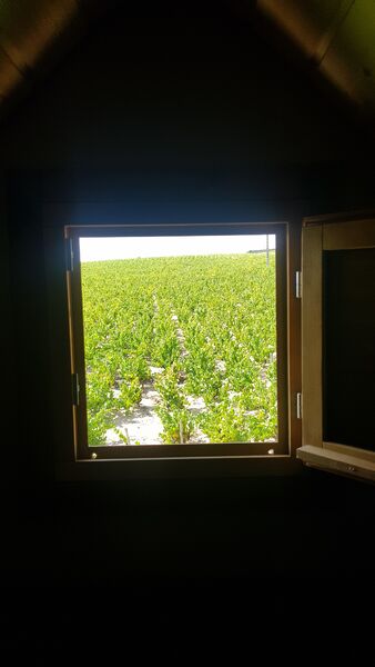 Camping La Grappe Fleurie