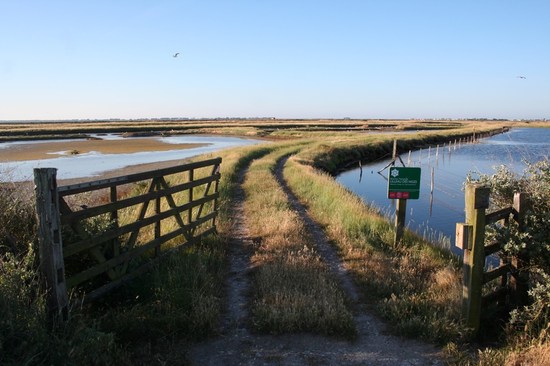 Sortie au coeur de la Réserve Naturelle de Lilleau des Niges