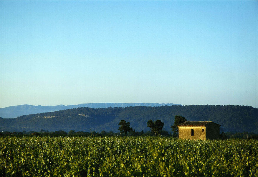 Domaine Les vadons Cucuron