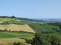 Vue panoramique, Parent