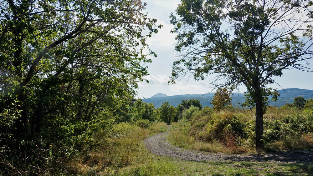 Du plateau de la Bade aux côteaux de Châteaugay à VTT