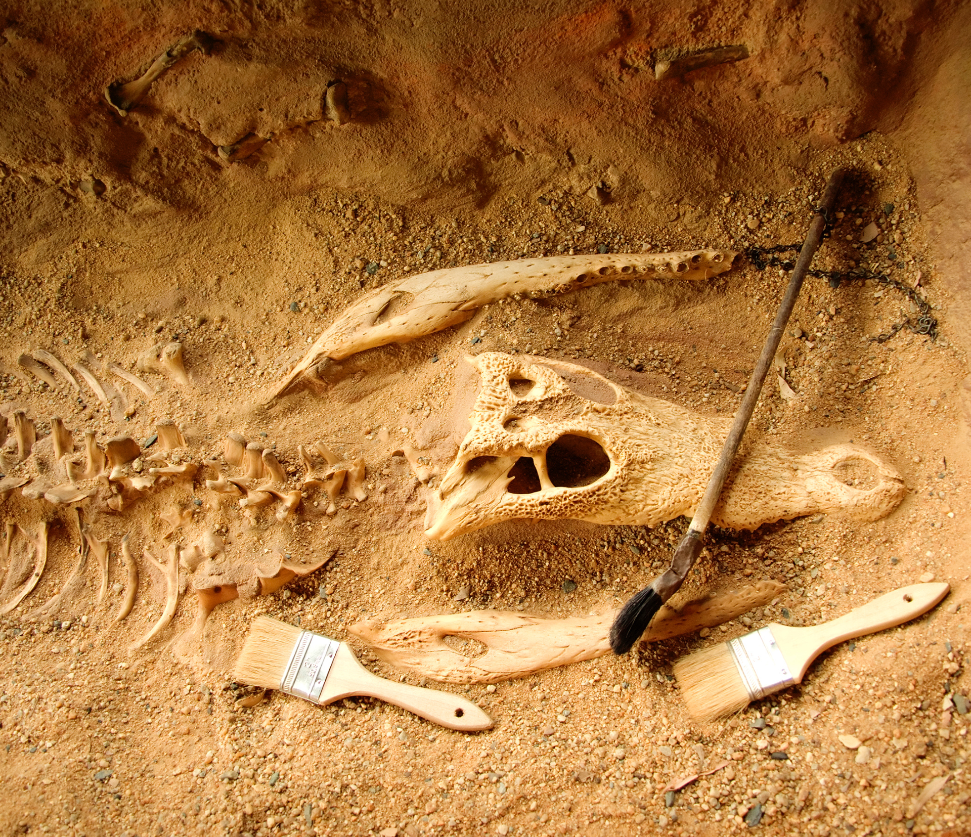 Mini-fouilles archéologiques_Cluses