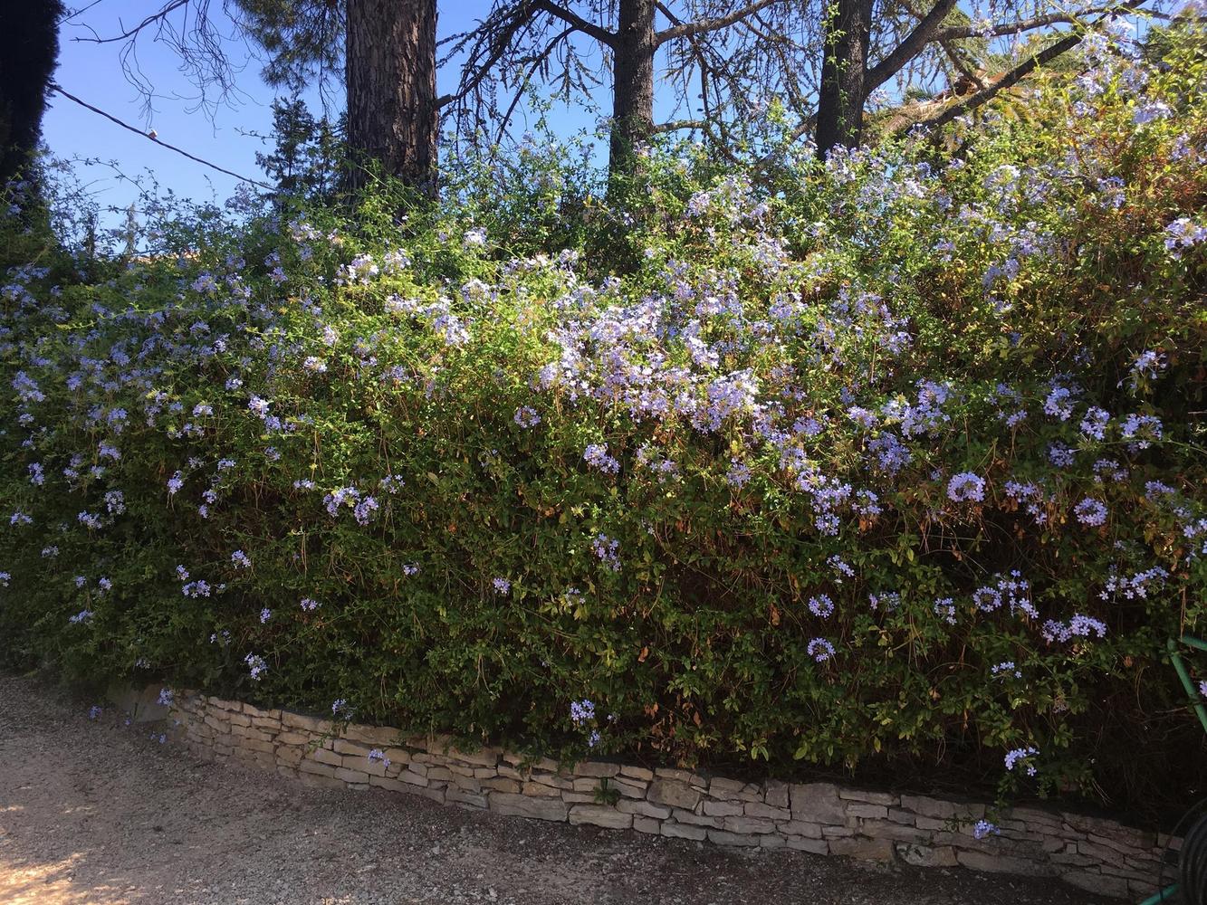 Le Recampado, Ceyreste - photo 21