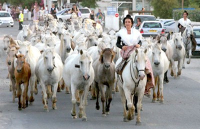 Grandes Roussataïo des 10 et 11 Novembre
