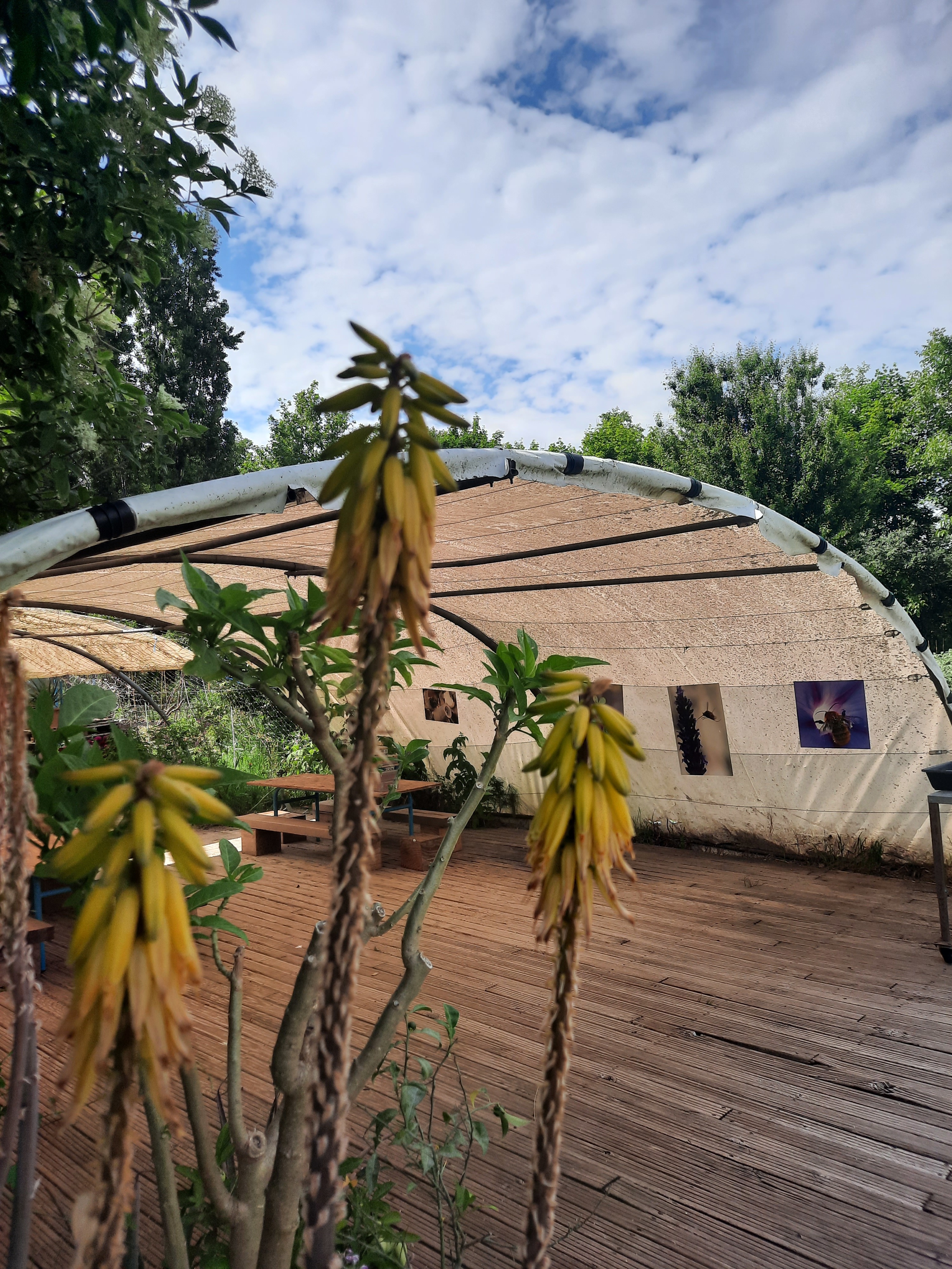 Croq'jardin, La Roque-d'Anthéron - photo 3