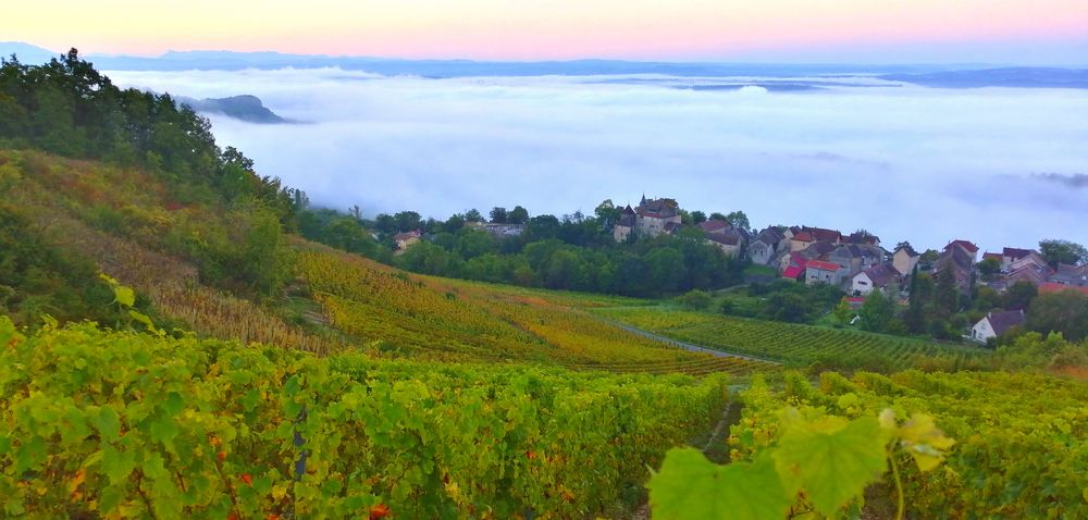 Domaine d'Ici Là Domaine d'Ici Là