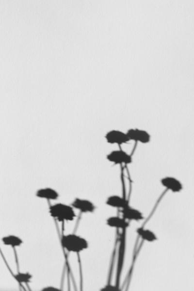 Atelier paysage d'ombres_Charlieu