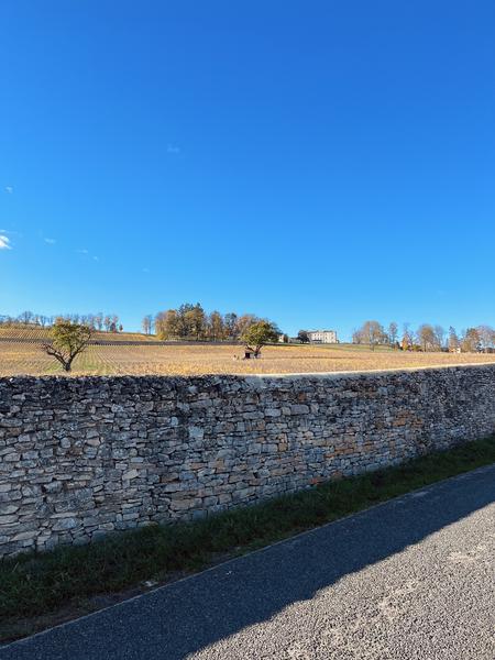Visite sigature - Château de Lachassagne