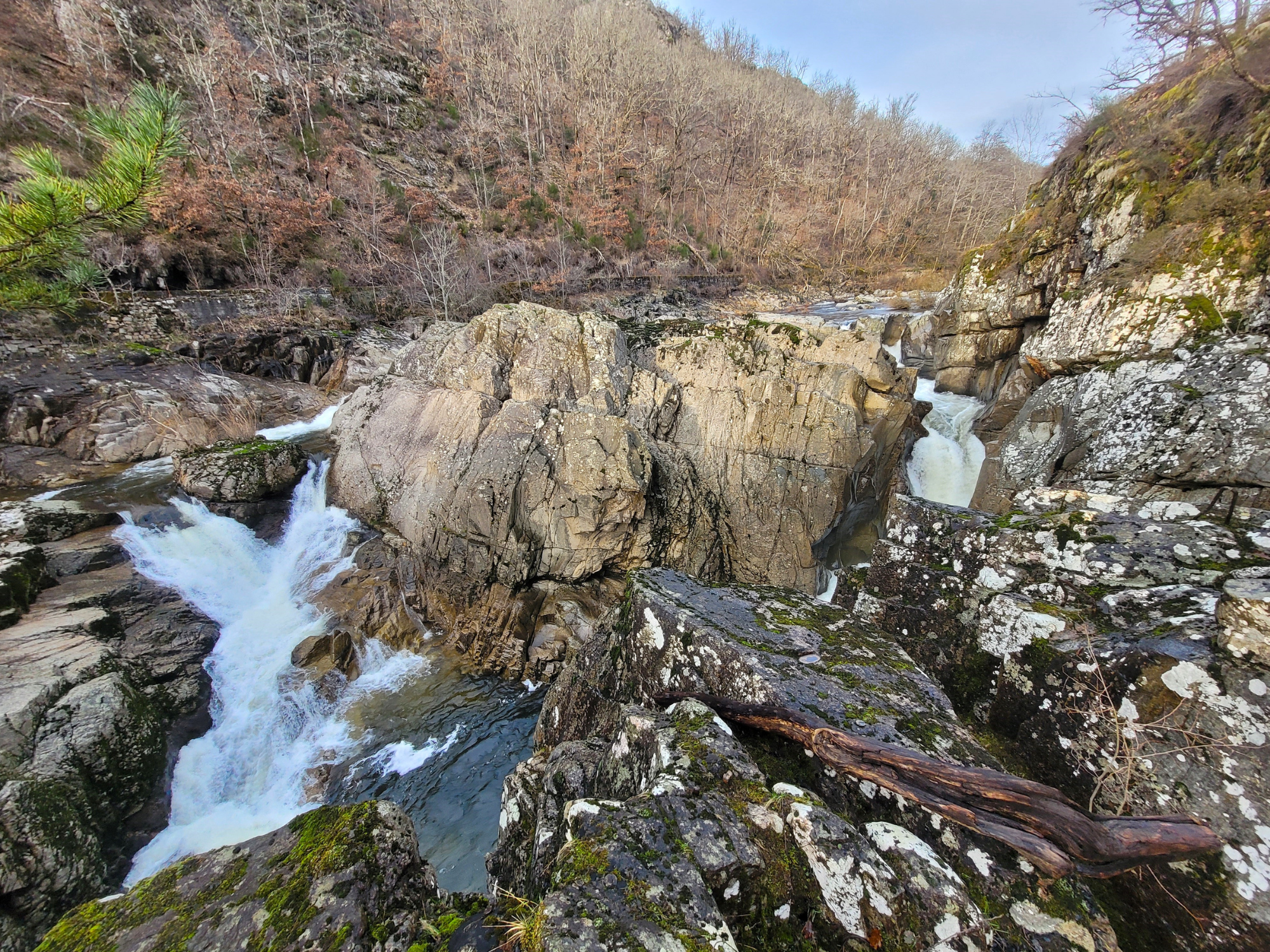 Le Saut de la Saule