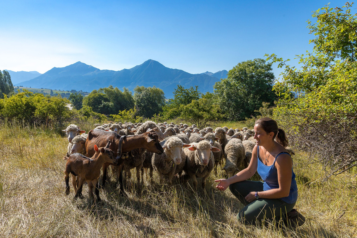 Ferme du Caïre, Chaillol