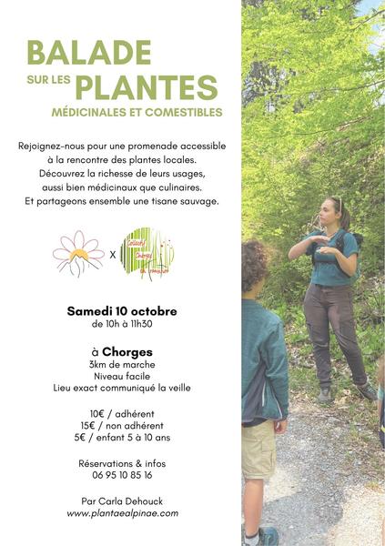 Balade sur les Plantes