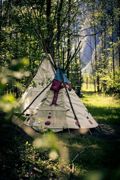 Visite de la ferme des bisons