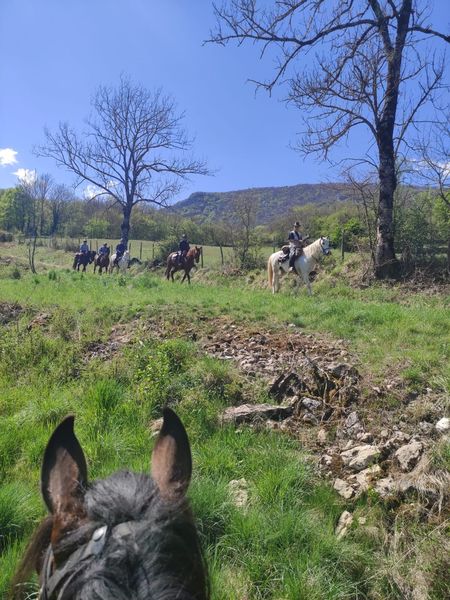 Circuit des caves et des fours du Bugey Sud
