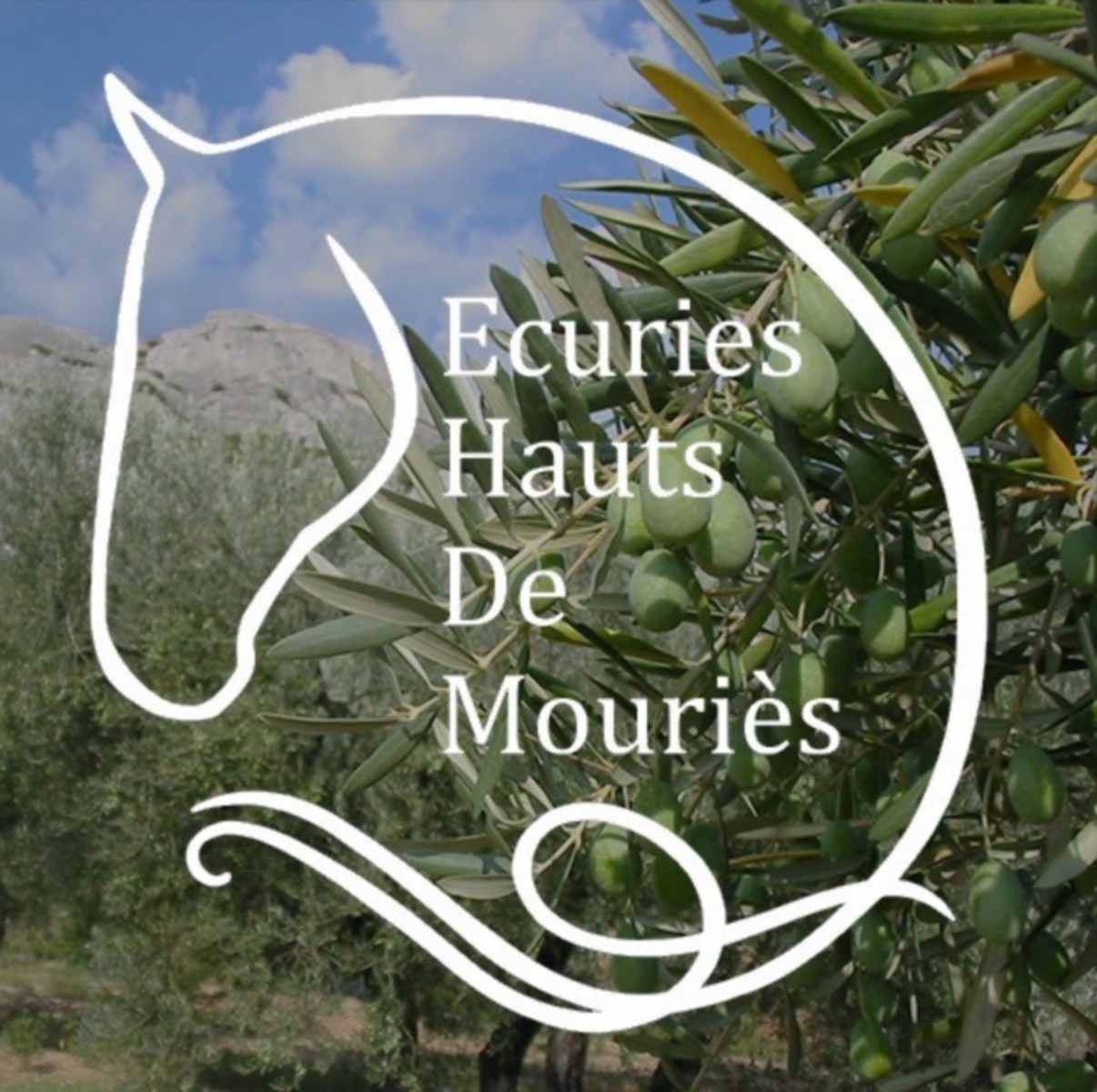 Les Écuries des Hauts de Mouriès, Mouriès - photo 2