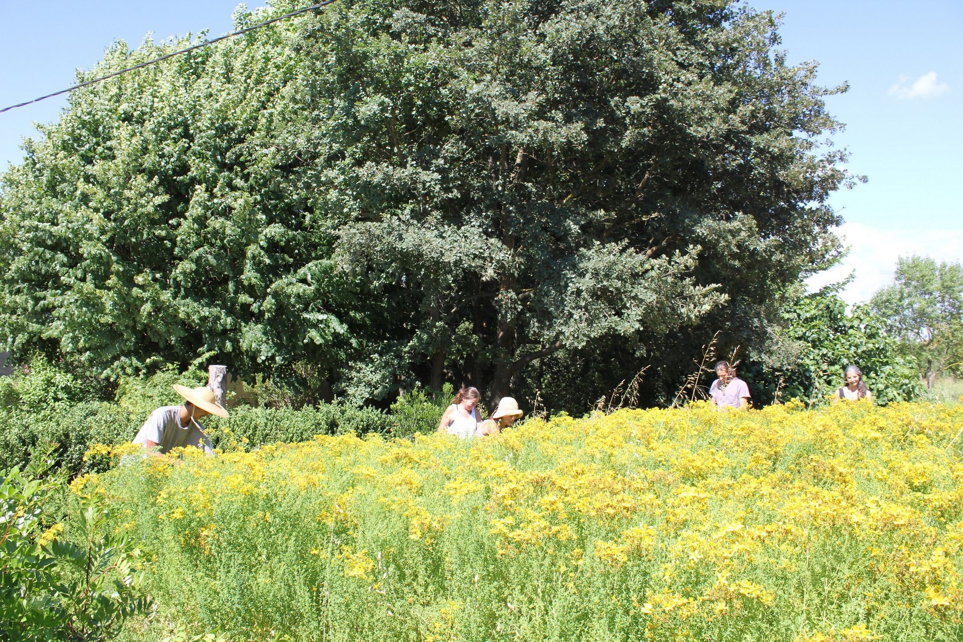 Les Sentiers de l'Abondance