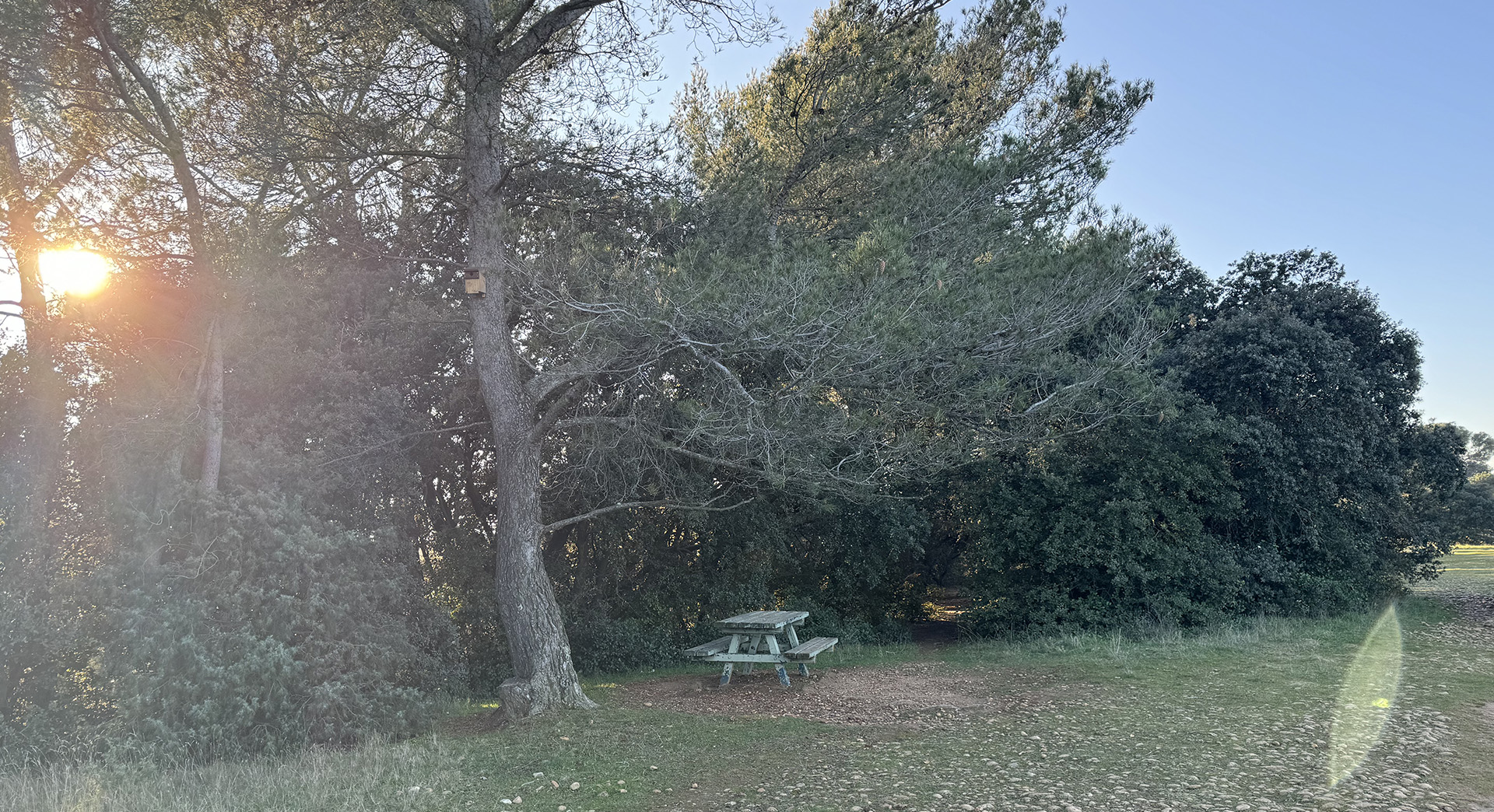 Plateau de la crau - photo 4