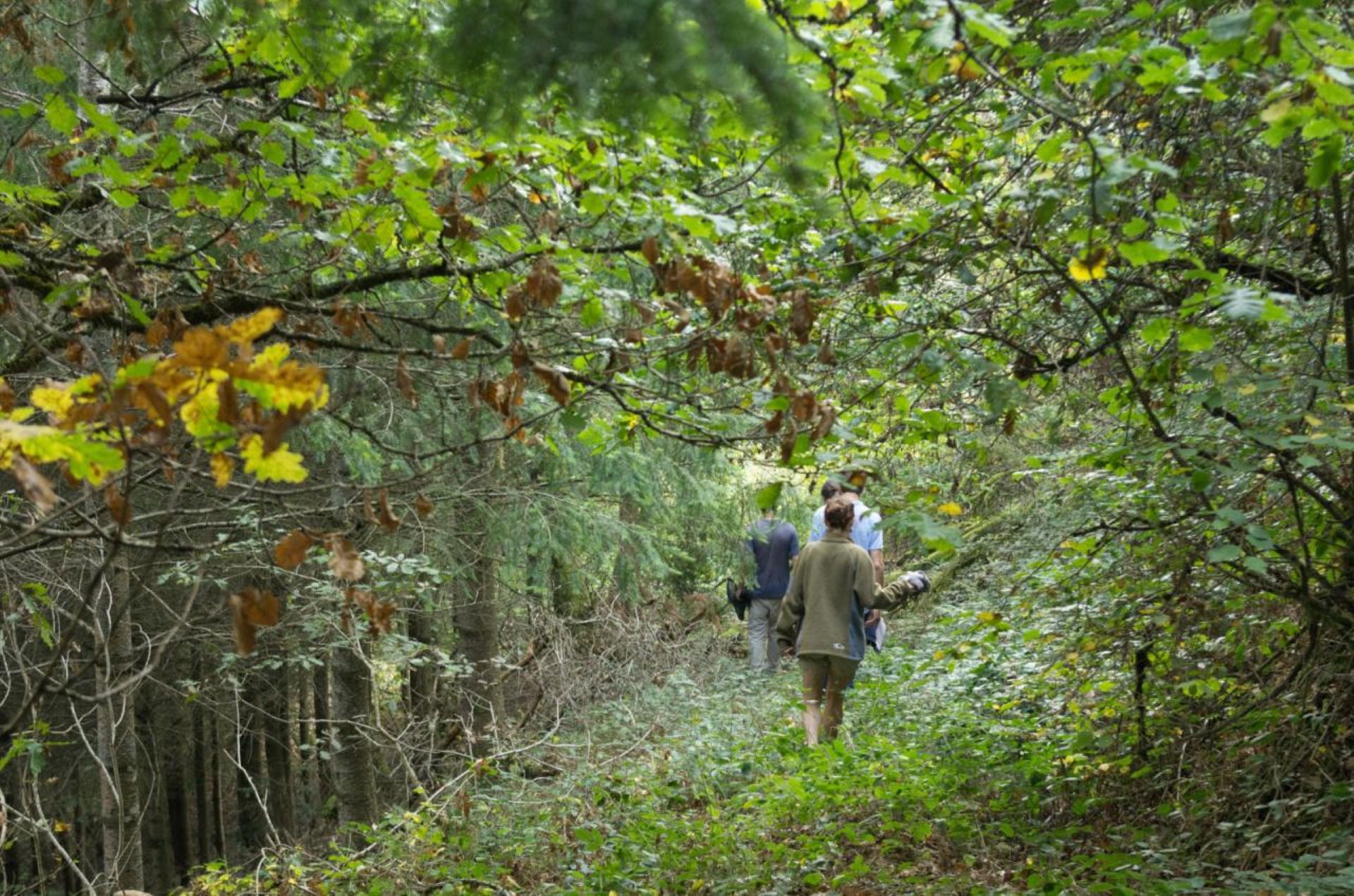 Découverte de l'eau dans la nature