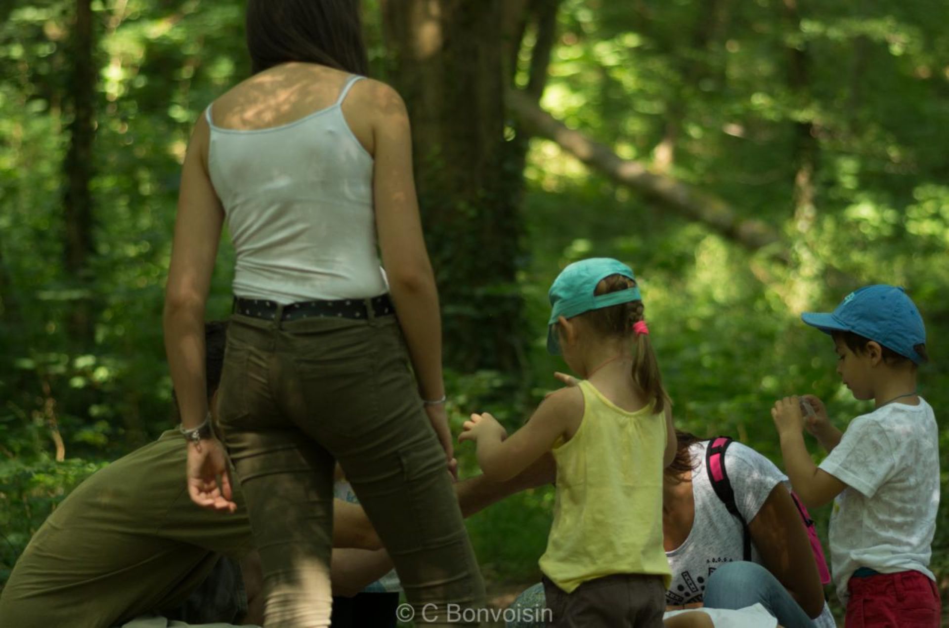 A la découverte des arbres