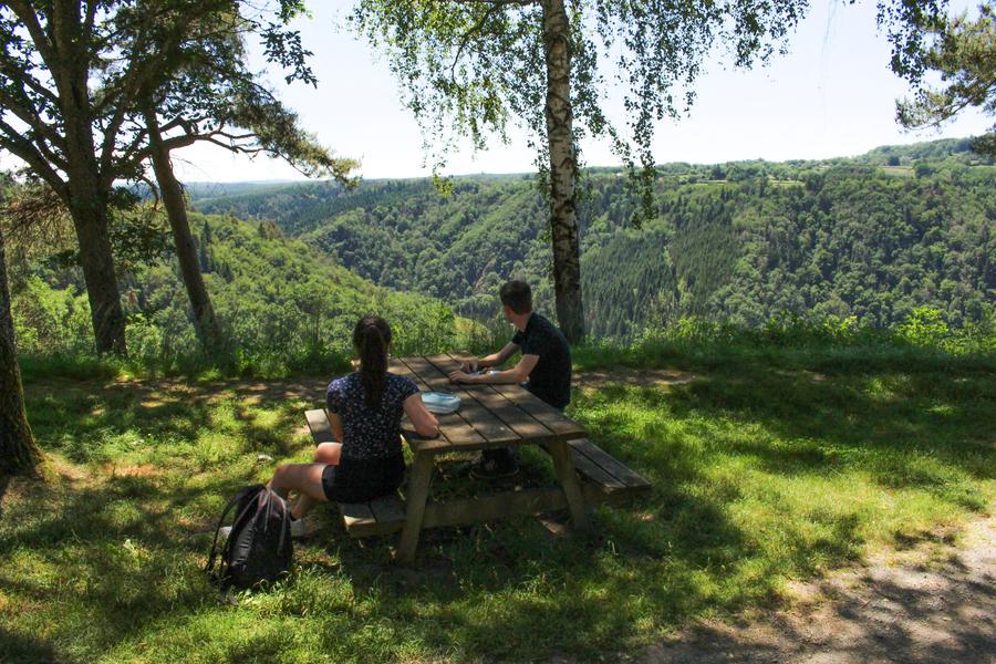 Aire de pique-nique - Belvédère des Ancizes