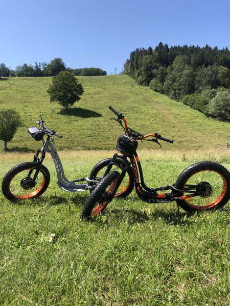 Trottinette tout terrain électrique