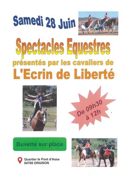 Spectacles équestres