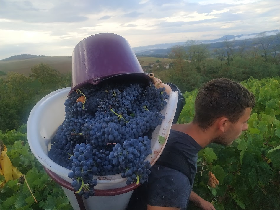 Domaine_du_Sornel_1
