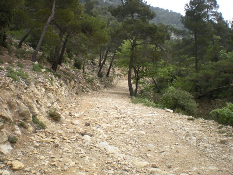 Rando Panorama à 360°