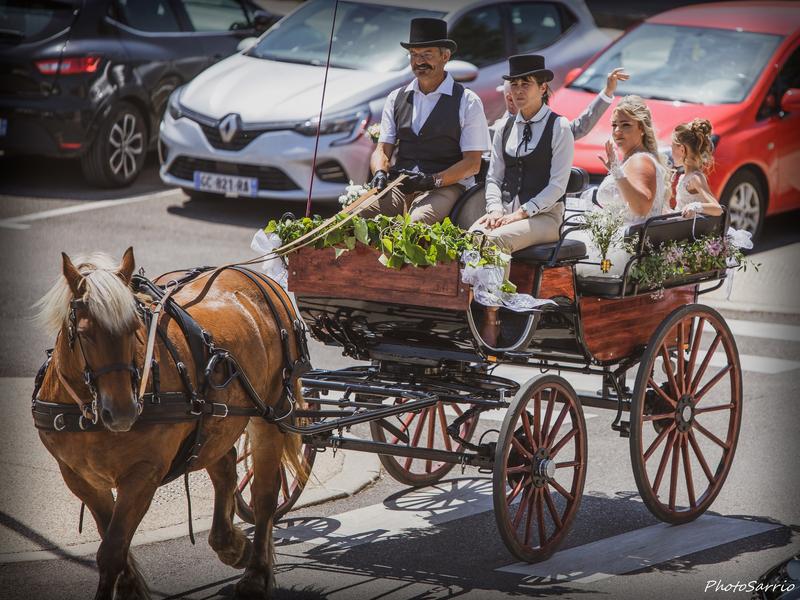 mariage en calèche_Têtes Hautes_STLAURENTD'AGNY