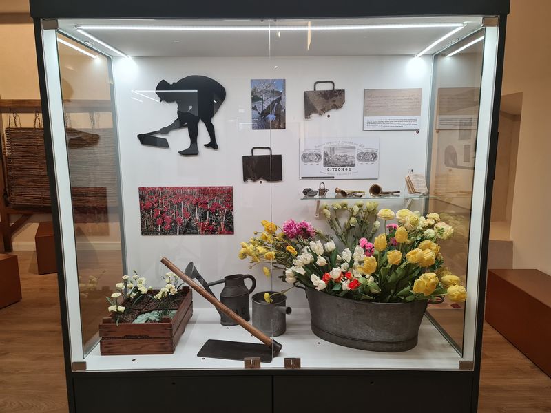Musée de la Fleur Ollioules