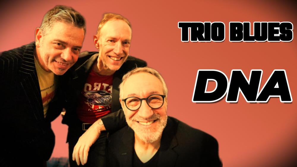 Place aux concerts - DNA blues Trio