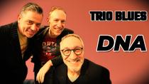 Place aux concerts - DNA blues Trio_Allevard