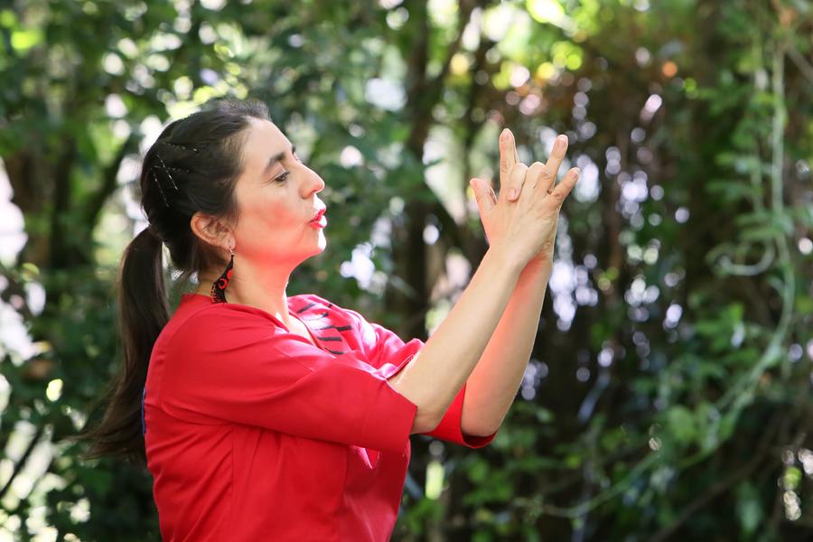 Spectacle de Noël - Saison culturelle de Fleurance_Fleurance