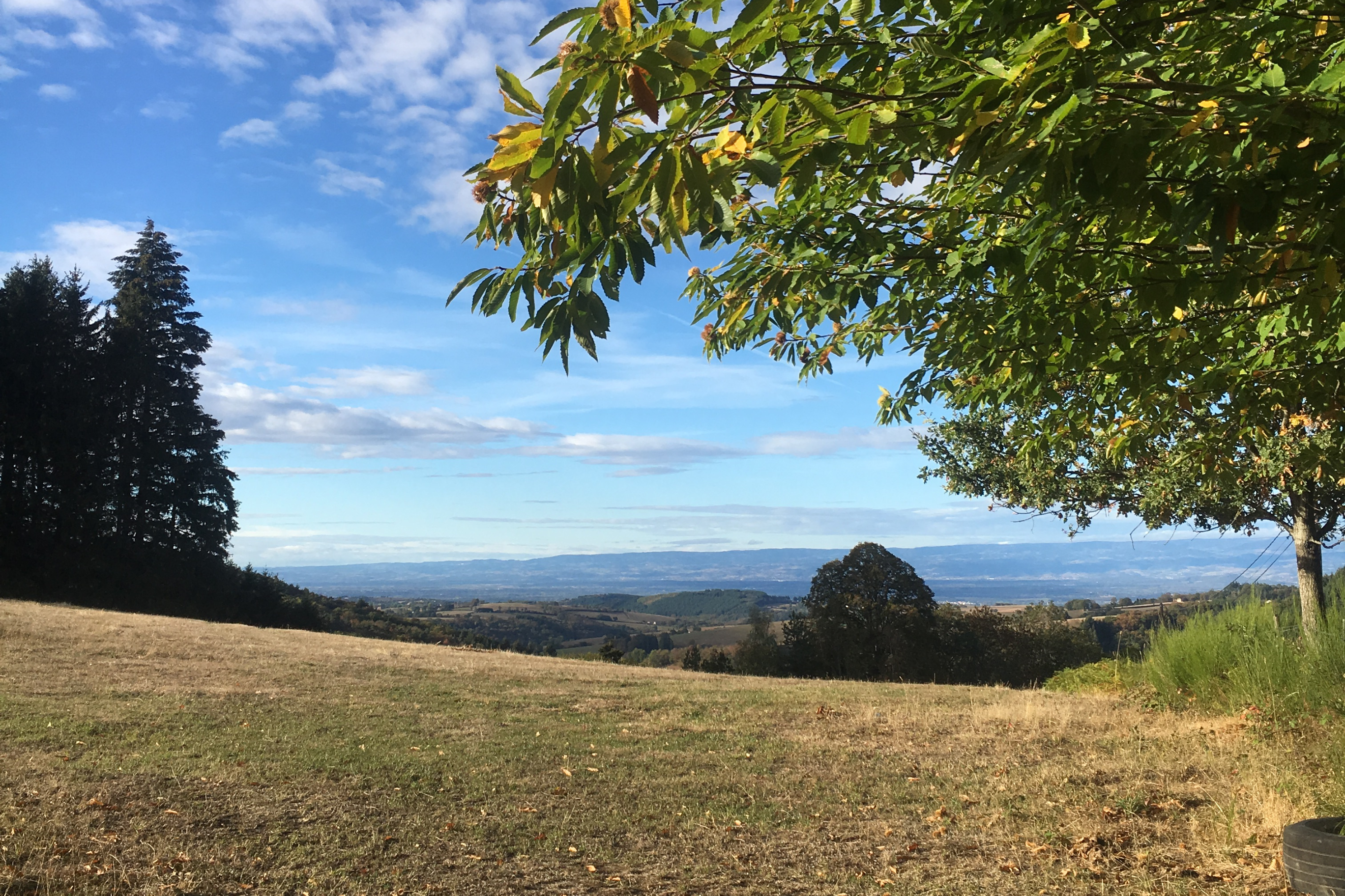 Pré avec joli point de vue