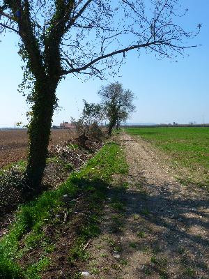Berre l'Etang : la randonnée des amis, Berre-l'Étang - photo 4