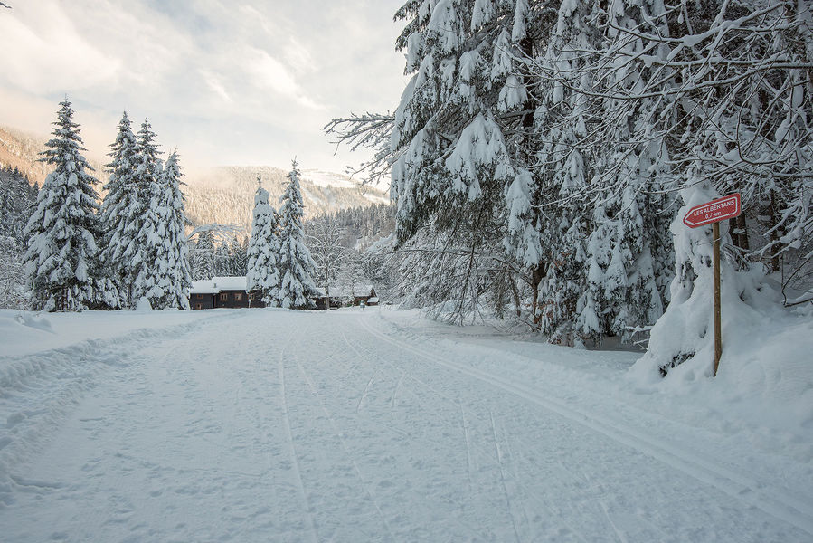 Pistes de ski de fond du Lac de Montriond