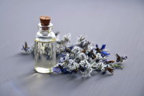 Atelier nature et création : Parfum de nature_Usson-en-Forez
