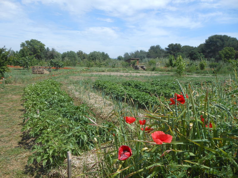 Nature en fête à La Londe les Maures