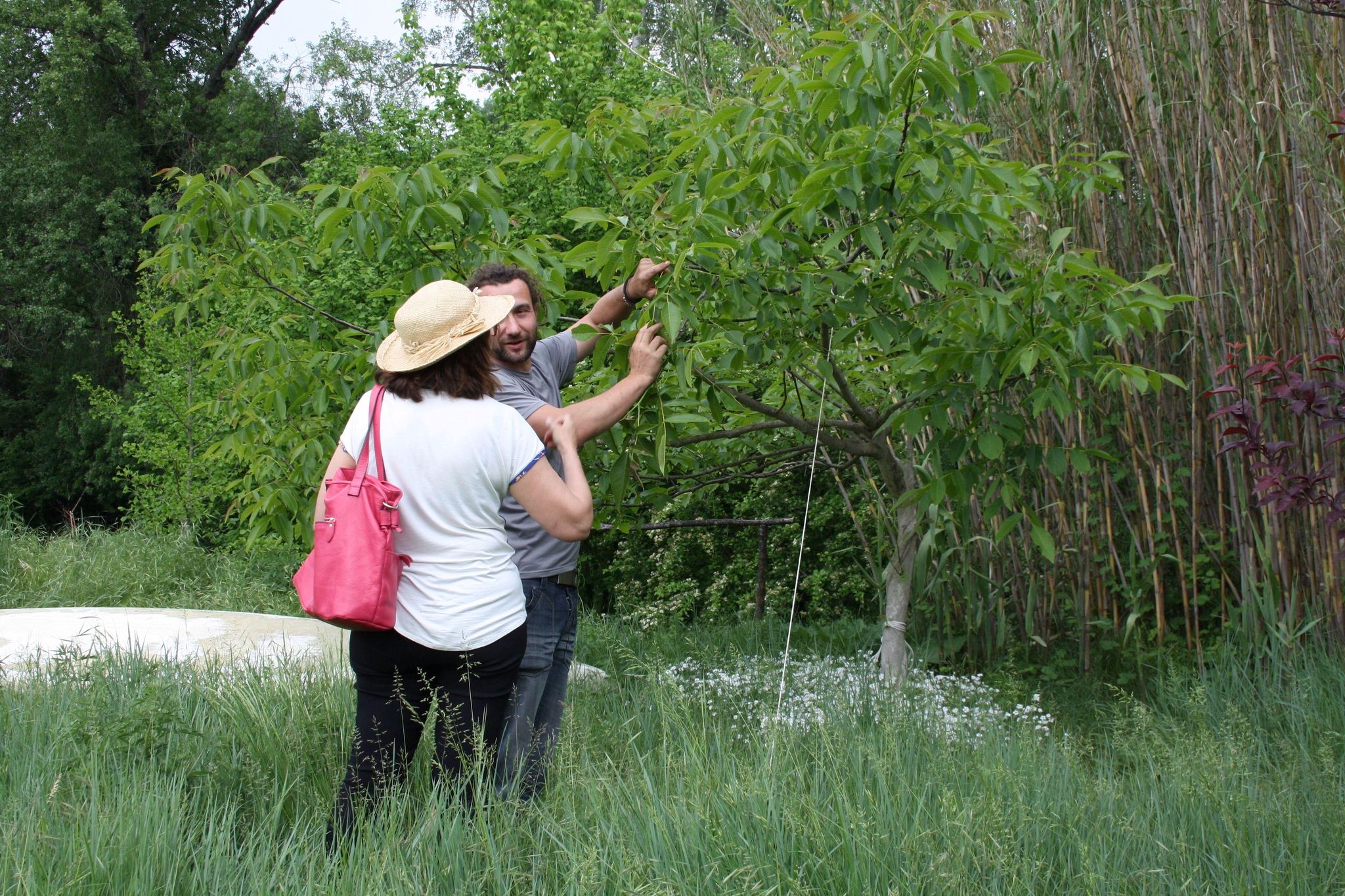 Visite du Jardin