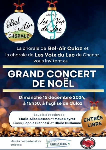 http://Grand%20concert%20de%20Noël