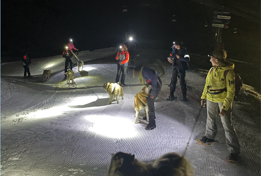 Cani-rando nocturne avec repas chez Bib_La Toussuire
