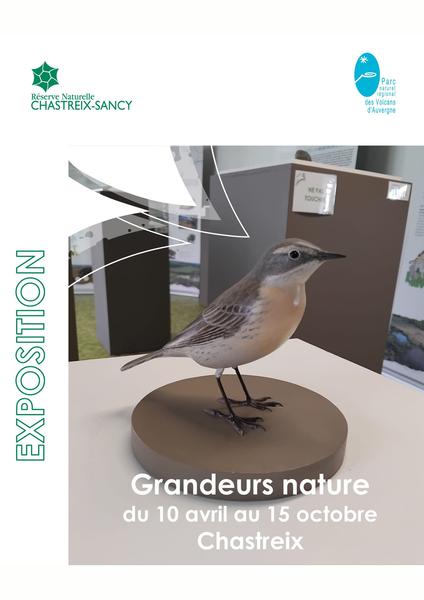 Exposition : La réserve naturelle de Chastreix-Sancy 