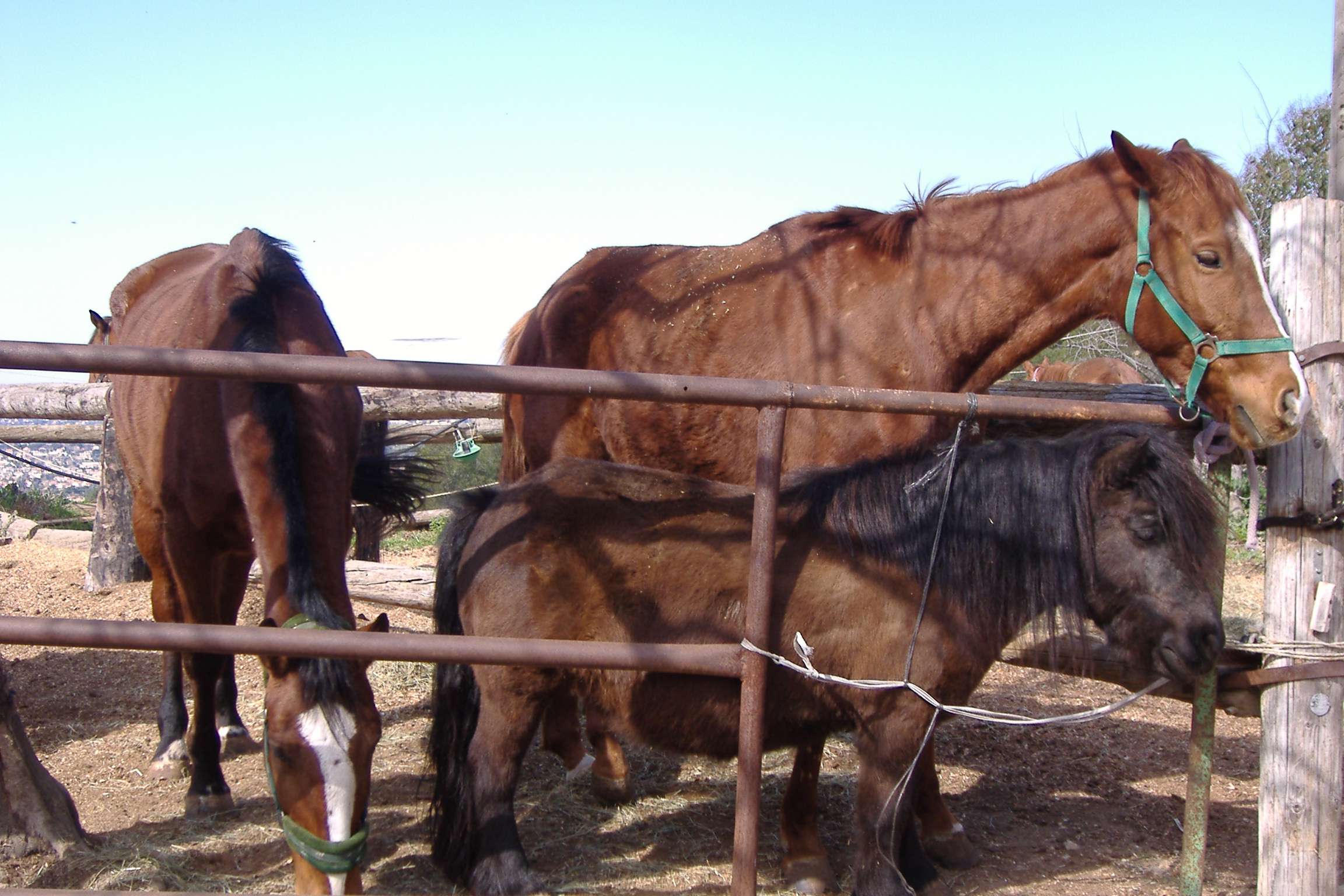 Ranch du Garlaban - photo 2