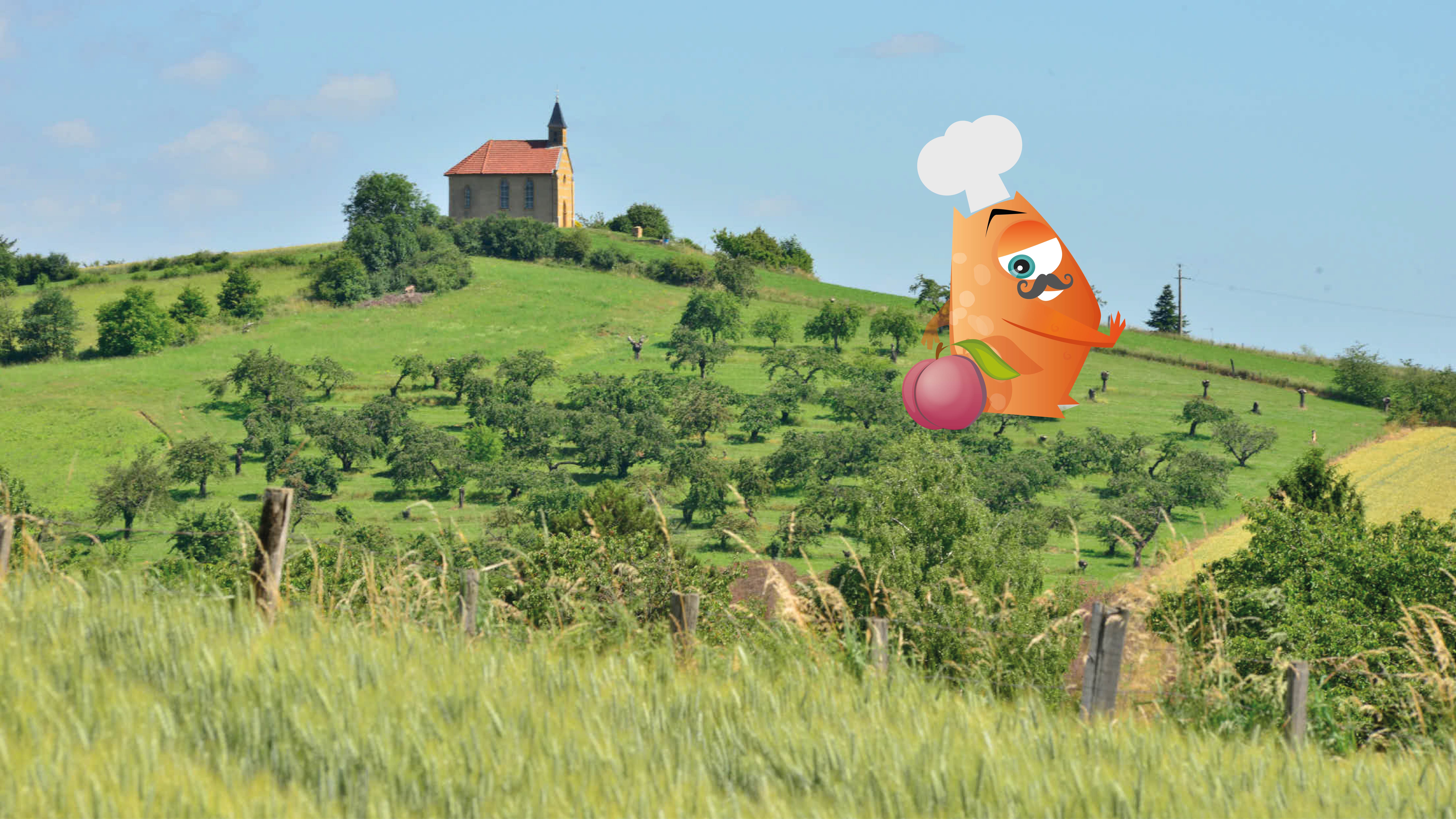 Paysage